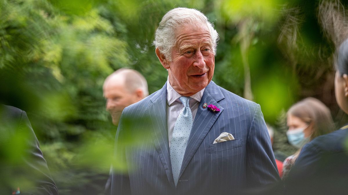 Policie vyslýchala prince Charlese kvůli „plánu zabít Dianu“